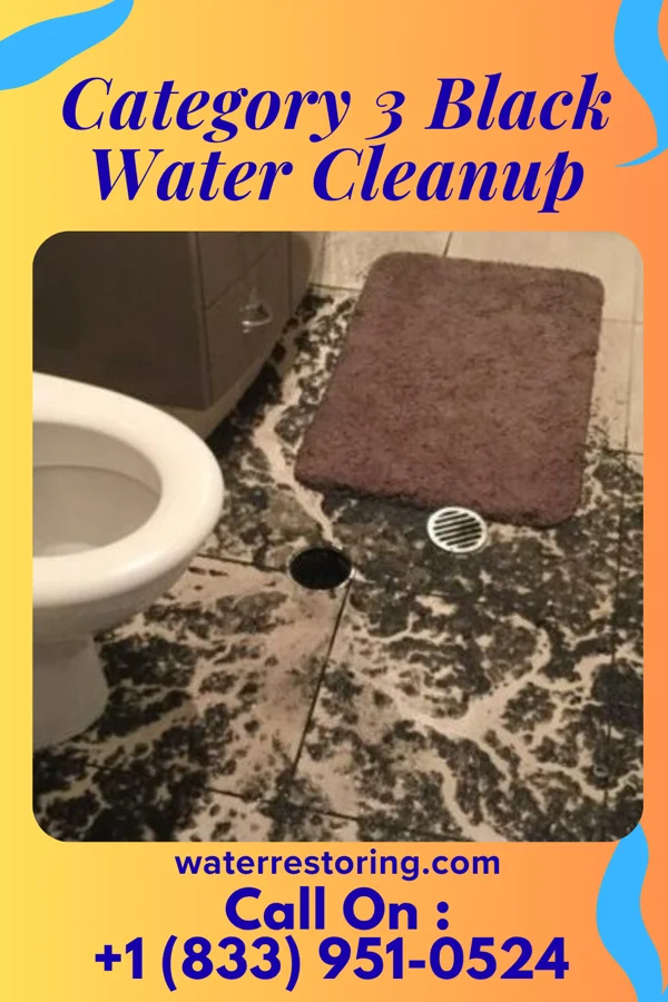 Category 3 Black Water Cleanup in Fruit Hill, OH