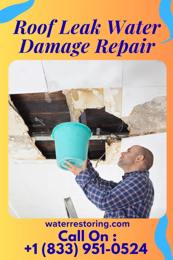 Roof Leak Water Damage Repair in Fruit Hill, OH