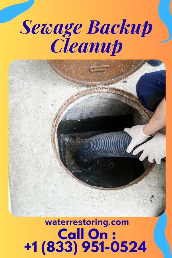 Sewage Backup Cleanup in Fruit Hill, OH